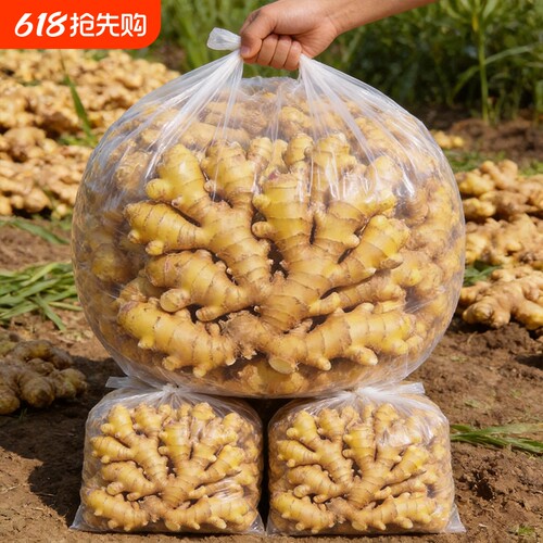 正宗云南小黄姜生姜现挖新鲜老姜批发蔬菜农家老黄姜辛辣味足食用