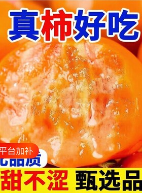 脆柿子正宗脆甜柿子大果当季鲜果冰糖心整箱发货巧克力脆柿子