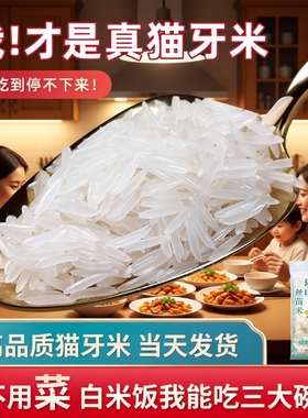 瑶山丝苗米猫牙米大米正宗长粒香超长新米优质珍珠米软糯真空食用