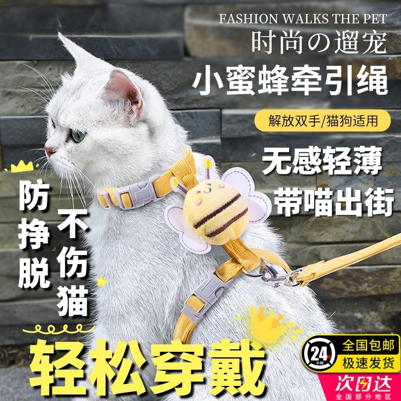 猫咪牵引绳防挣脱外出专用溜猫绳宠物背带链子可调节网红遛猫神器