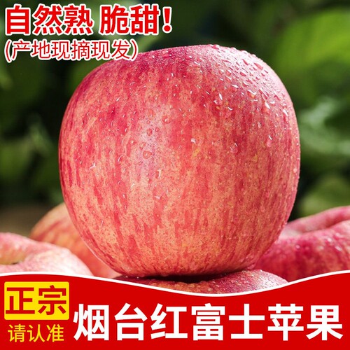 正宗烟台红富士苹果新鲜水果脆甜特大果现摘现发冰糖心应当季自提