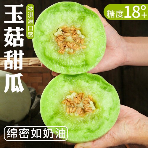 9斤正宗山东玉菇甜瓜现摘现发