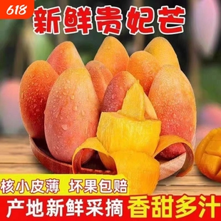 正宗广西贵妃芒金凤凰芒芒果当季新鲜水果孕妇水果小果整箱批发