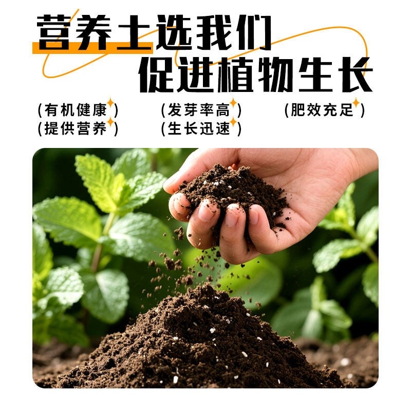 养花营养土花土有机土壤通用种花园艺土肥料多肉盆栽通用型种植土,鲜花速递/花卉仿真/绿植园艺,家庭园艺肥料,淘宝优惠券,粉丝福利购,淘宝优惠卷