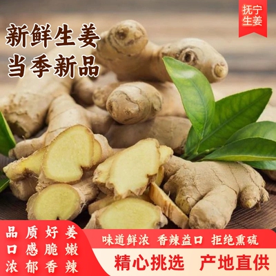 生姜产地直供现挖现发无硫自然种植块大皮薄脆香多汁新鲜生姜700g