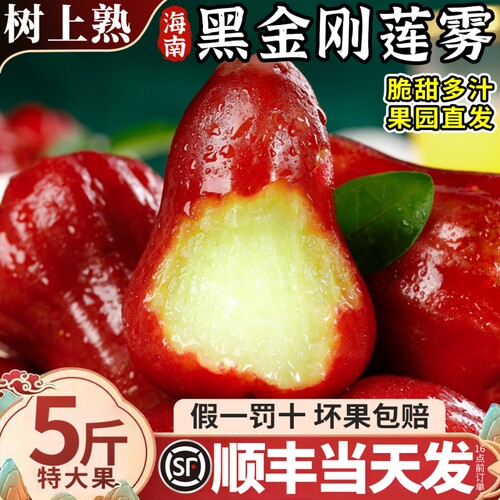 【脆甜多汁】正宗海南黑金刚莲雾