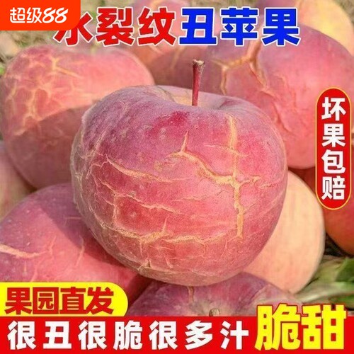 正宗运城丑苹果红富士产地冰糖新鲜当季水果当季脆孕妇整箱批发