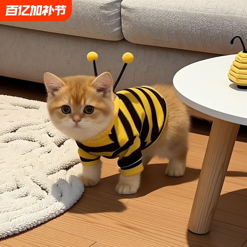 猫咪衣服秋冬款蜜蜂装银渐层布偶小型犬宠物保暖狗狗卫衣可爱四脚