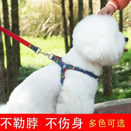 牛仔狗狗牵引绳中小型犬狗链子狗项圈泰迪比熊背心式遛狗绳子胸背