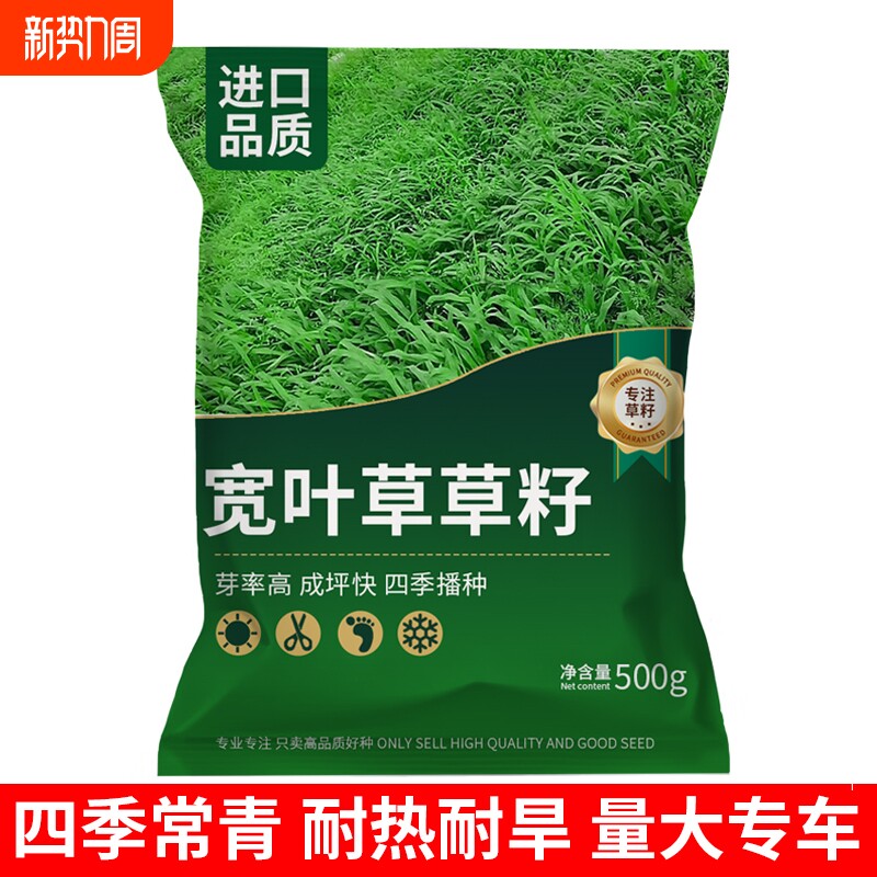 宽叶草草籽耐热耐旱护坡固土百喜草草籽工程绿化矿山复绿草坪种子