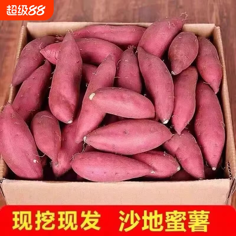 红薯新鲜地瓜沙地蜜薯板栗糖心番薯山芋农家自种现挖龙九黄心香甜图片