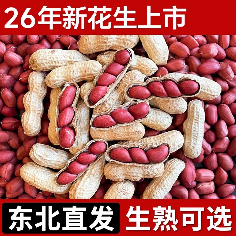 东北红皮花生26年农家新货不带壳新鲜红衣小四粒红花生仁原味炒货