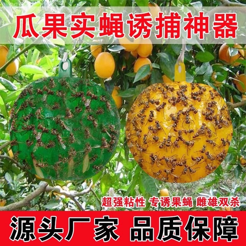 诱蝇球柑橘大实蝇诱捕球瓜果实蝇粘虫球针蜂果蝇诱虫球针蜂引诱剂