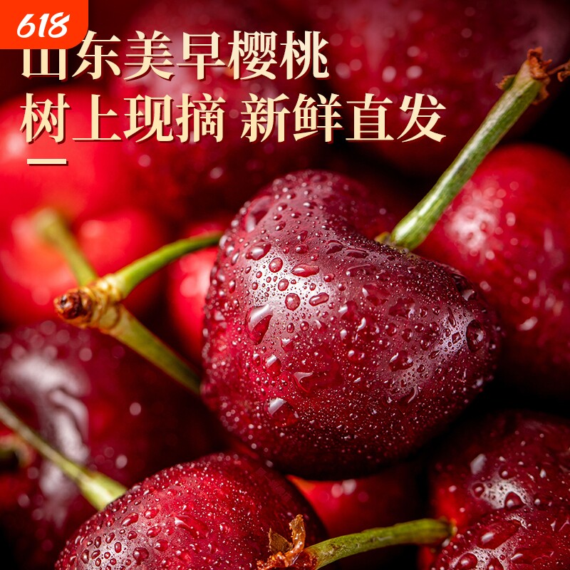 山东烟台 露天凉地自然熟美早大樱桃现摘现发应季水果