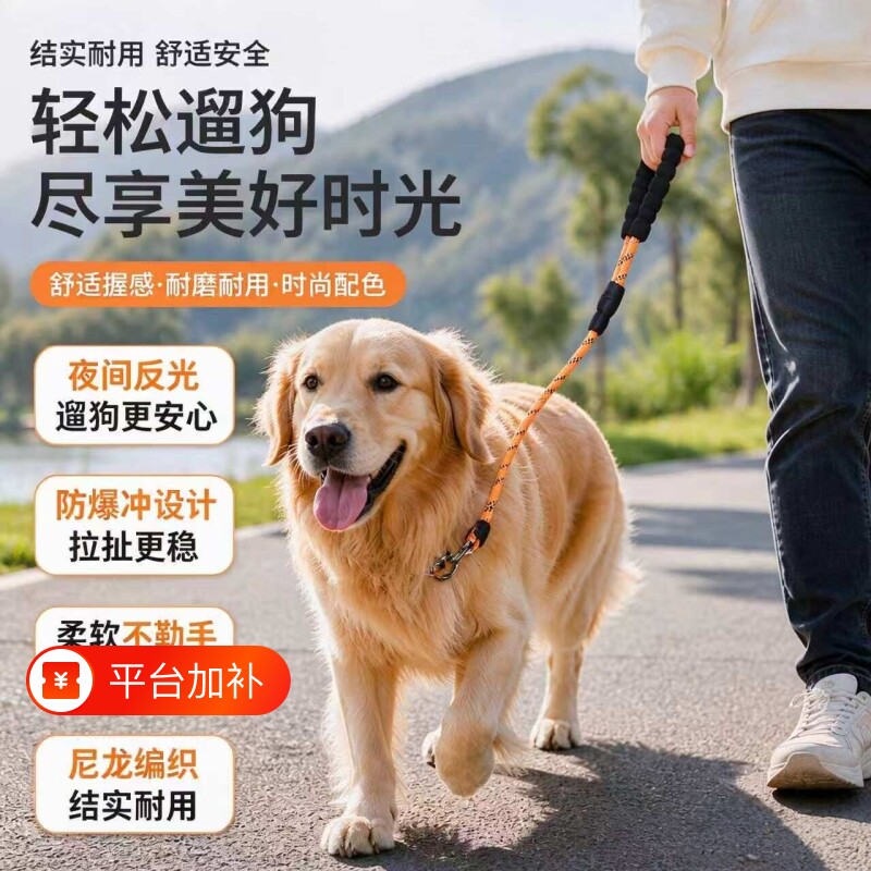 狗狗牵引绳防爆冲训犬P链小型中大型犬遛狗绳金毛不勒手宠物狗链