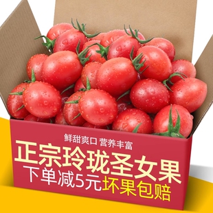云南现摘农家玲珑圣女果3斤小番茄新鲜水果蔬菜当季时令小西红柿5