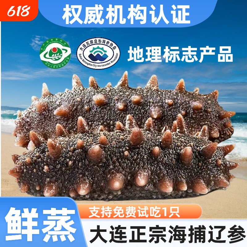 鲜蒸即食海参大连瓦房店协会产品辽参顺丰包邮水产冷冻深海底播