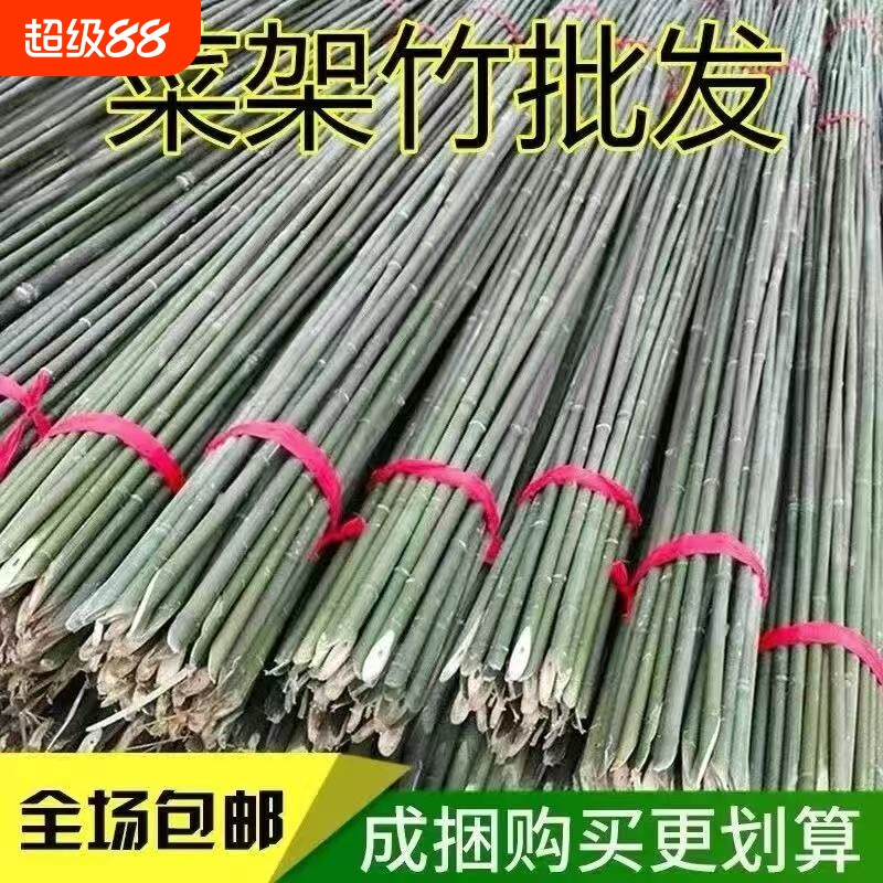 竹竿爬藤架支撑支架杆小竹子搭架菜园黄瓜豆角番茄架杆竹篱笆围栏