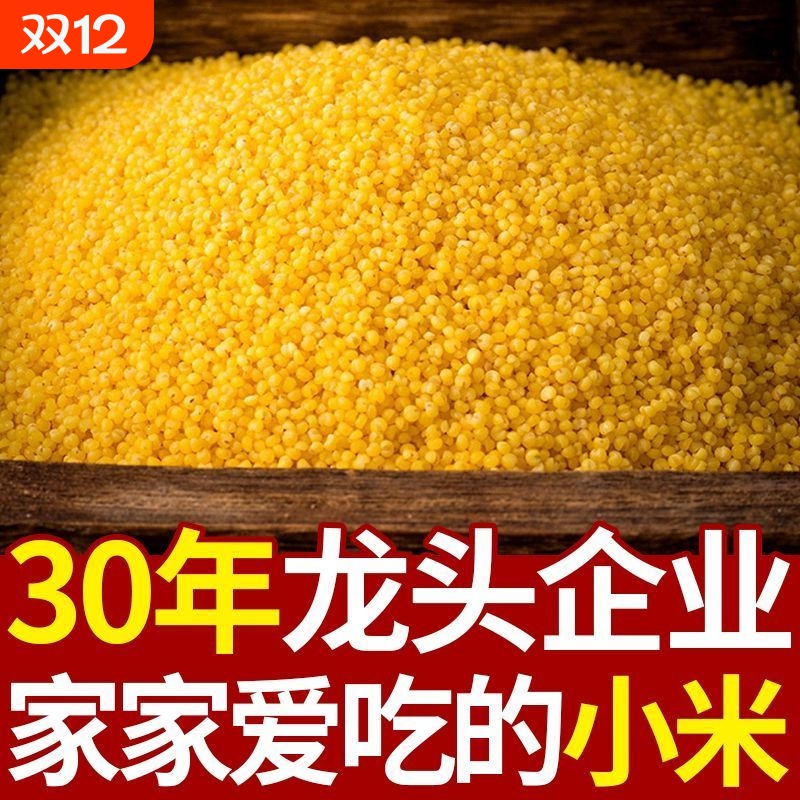 2025年新鲜优质黄小米新米油小米米脂油粗杂粮月子米大金苗袋装
