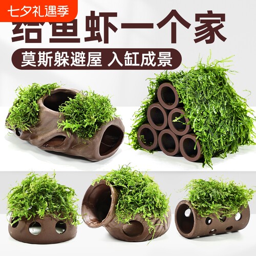 紫砂虾屋鱼缸躲避屋水草植物造景莫斯装饰水榕懒人真草鱼虾水质