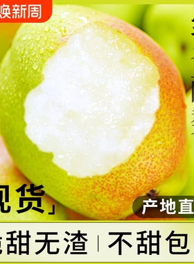 陕西红香酥梨10新鲜水果当季整箱香梨青应特产酥梨雪梨包邮斤梨子