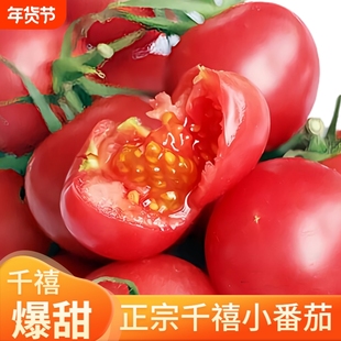【正宗千禧果】攀枝花千禧小番茄小西红柿新鲜孕妇水果樱桃圣女果