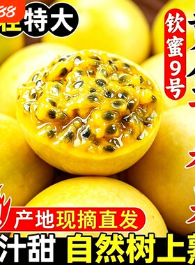 广西钦蜜9号黄金百香果新鲜水果包邮1/2/3/5斤大果纯甜白香黄金果