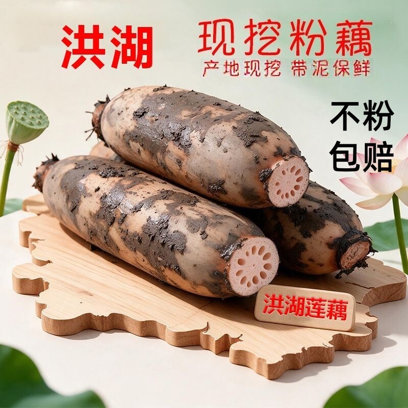 不粉包赔正宗湖北洪湖莲藕新鲜煲汤粉藕现挖湖藕面藕泥藕蔬菜5斤