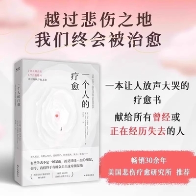 正版速发 一个人的疗愈越过悲伤之地我们终会被治愈 一本让人放声大哭的疗愈书 7次互助会谈6个自我练习开启自我疗愈之旅 樊登推荐