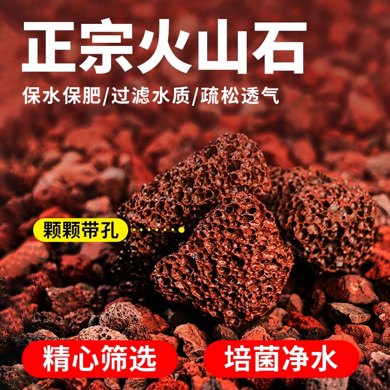 火山石多肉兰花专用|千人加购