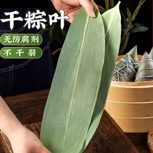 粽子叶粽叶干大号棕叶新鲜包粽子的竹叶子干粽叶材料糯米斑斓叶