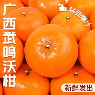 正宗广西武鸣沃柑现摘纯甜当季水果原产地整箱橘子砂糖橘