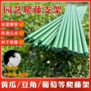 豆角西红柿黄瓜园艺固定杆葡萄植物支撑架 爬藤架花架包塑钢管月季
