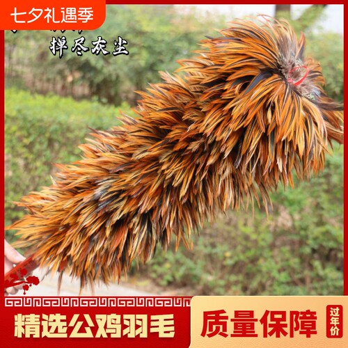 兴远羽毛制品家庭除尘掸可伸缩