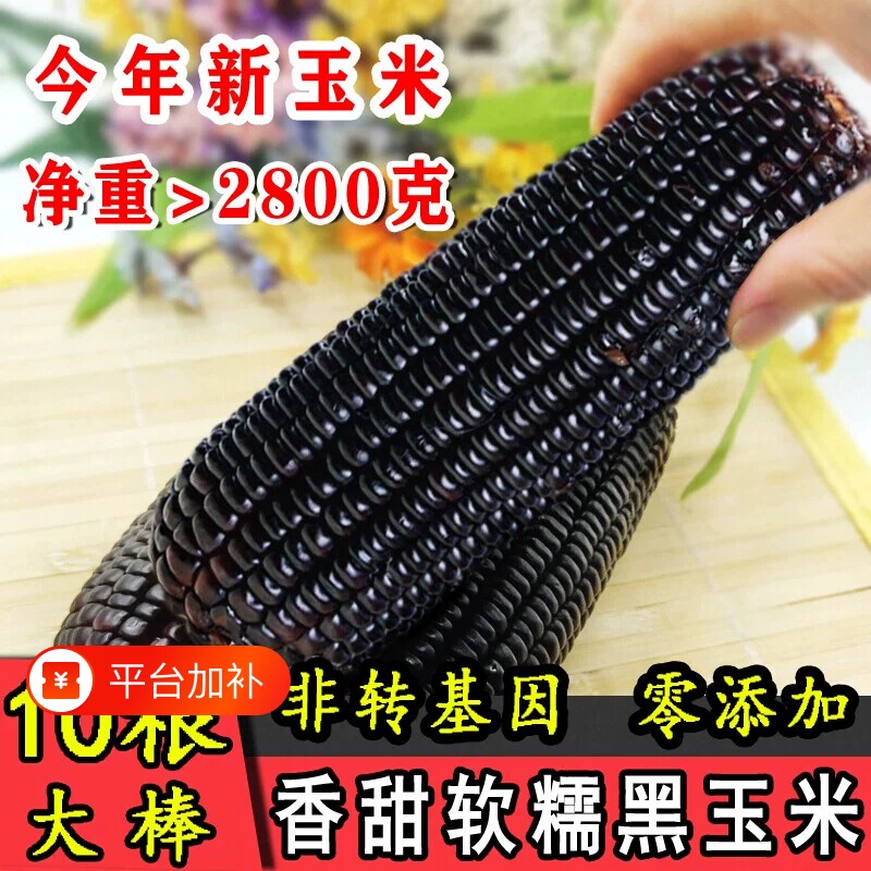 东北煜松黑糯玉米糯玉米棒新鲜甜糯粘玉米真空装早餐香甜软糯现摘
