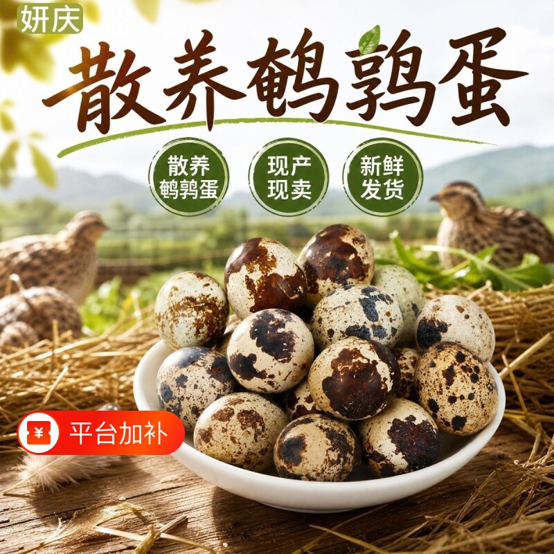 新鲜鹌鹑蛋生蛋绿色杂粮生鲜蛋孕妇宝宝辅食鹌鹑蛋鹑鸟蛋鲜鹌鹑蛋