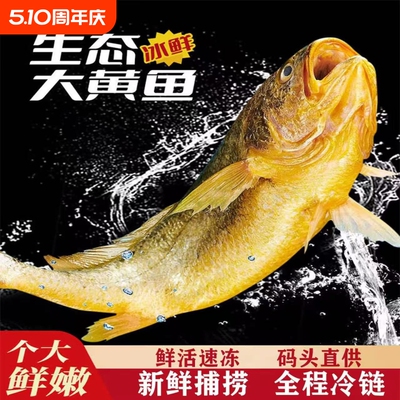 黄花鱼新鲜冷冻大黄鱼生鲜海鲜水产小黄鱼海鱼整箱鲜活冰鲜年货节