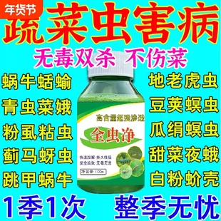 蔬菜杀虫的剂无毒菜园农用青菜油菜杀虫药蚜虫跳甲蜗牛青虫卵双杀