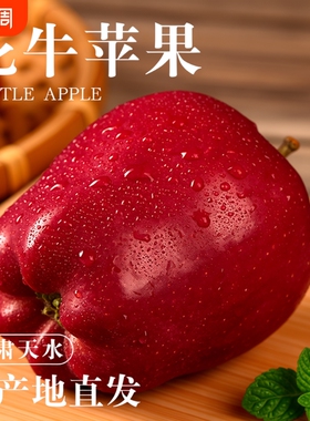 天水花牛苹果新鲜水果10斤正宗甘肃当季糖心红蛇粉面甜圣诞果包邮