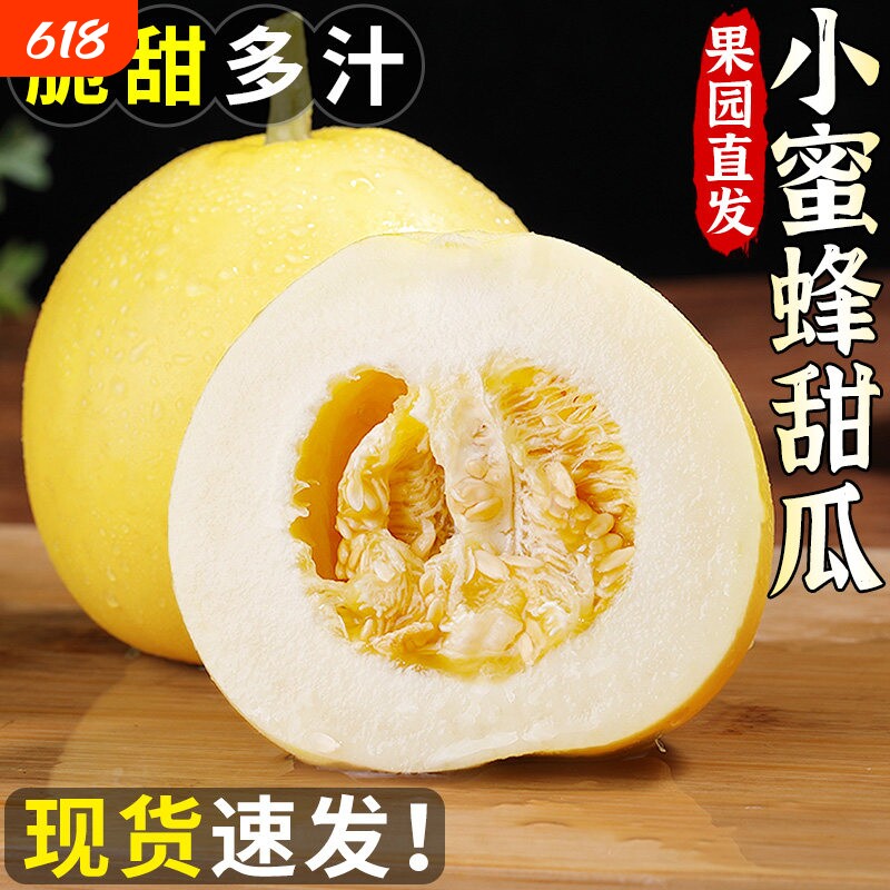正宗山东小蜜蜂甜瓜当季新鲜水果现摘香瓜蜜罐奶香脆甜瓜大果整箱