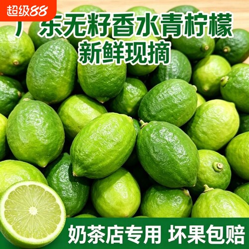 广东正宗香水柠檬新鲜青子弹头柠檬奶茶店专用小青柠无籽一级果