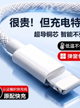 30W苹果数据线充电线充电器线iphone16手机快充15平板ipad原装正品14双typec口PD13闪充12编织11USB线30W20W