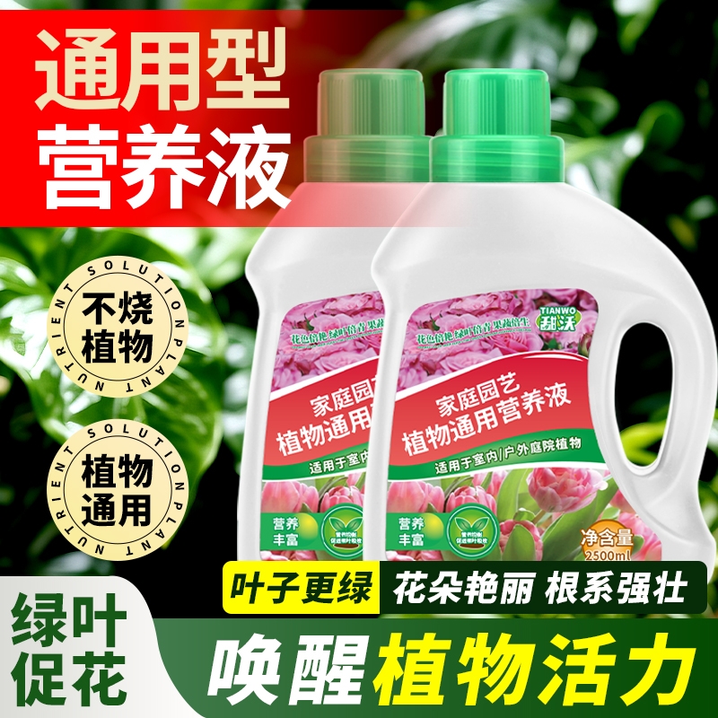 营养液植物通用型花肥发财树