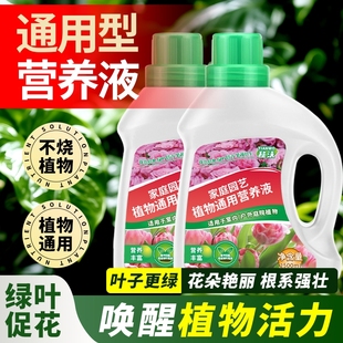 植物营养液通用型花肥发财树富贵竹绿萝水培盆栽家用花卉绿植肥料
