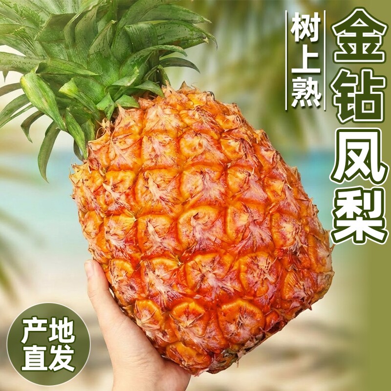 海南金钻凤梨新鲜水果树上熟牛奶凤梨香水菠萝大果整箱包邮孕妇