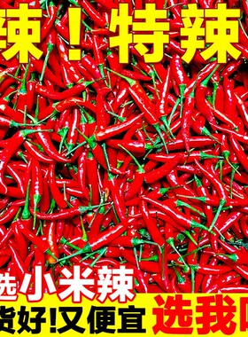 米辣椒新鲜现摘特辣小米椒朝天椒超辣薄皮土红辣椒指天椒尖椒