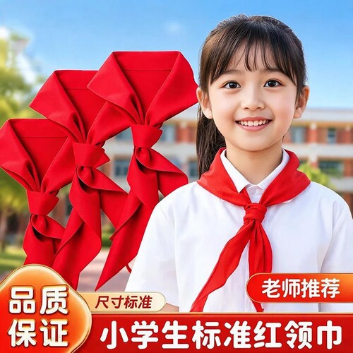 红领巾学生标准不掉色超加厚抗皱