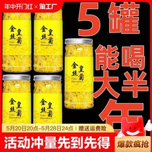 金丝皇菊一朵一杯大菊花茶黄菊花10g罐装胎菊花枸杞决明子茶叶