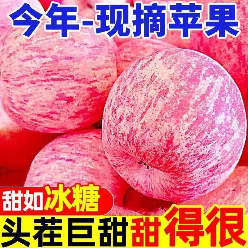 现摘新鲜红富士苹果水果当季陕西冰糖心丑苹果脆甜10包邮斤整箱