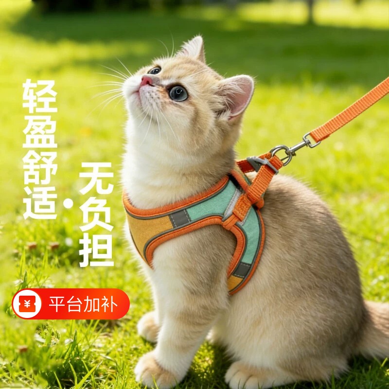 猫咪牵引绳防挣脱不勒脖遛小猫专用胸抱婴袋背心式溜幼猫绳子伸缩